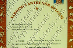 Yardımcı Antrenör Lisansı - 2003