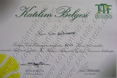 Antrenör Gelişim semineri belgesi piotr unierzsky -2005